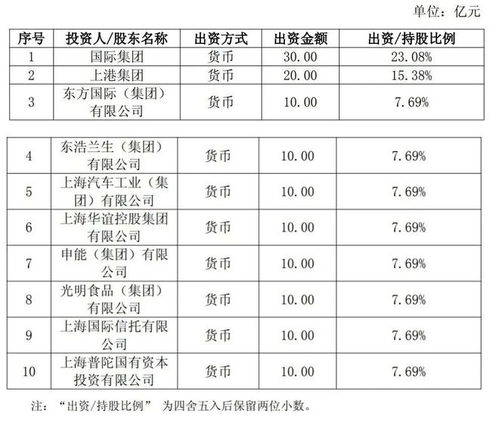 上海新设国企聚焦信息咨询服务，打造数字化转型新引擎